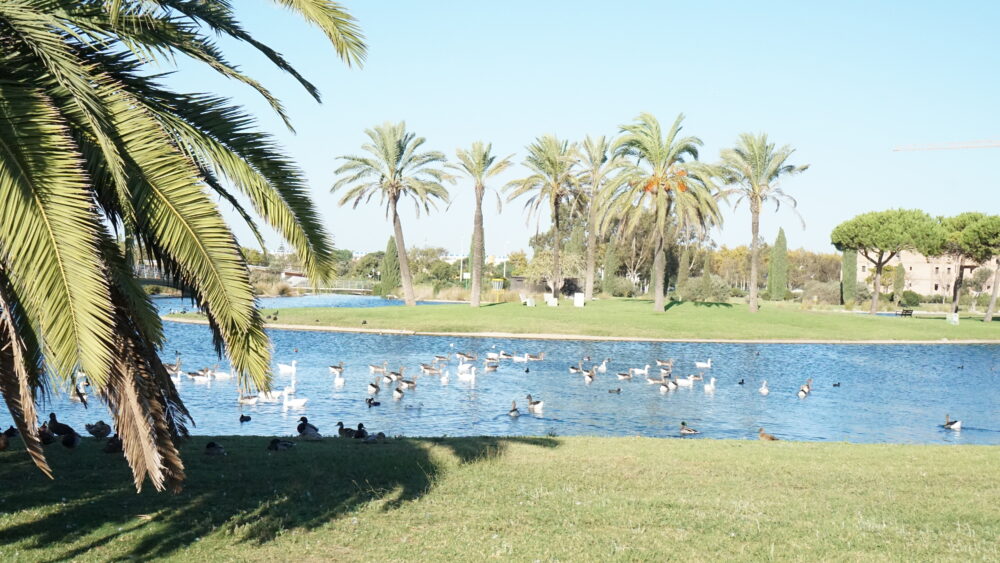 Parque de los Lagos